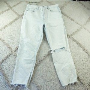 American Eagle Outfitters Light Blue Distressed Jeans